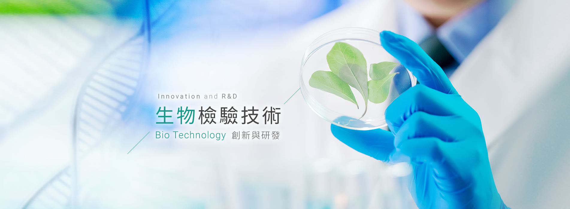 banner.jpg banner.jpg